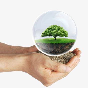 Tư vấn môi trường